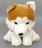 Nemutan Wonderful Plush toy "Mohutto Wolf"