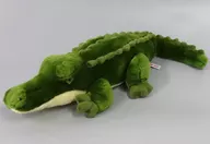 "Nature Kids Real"