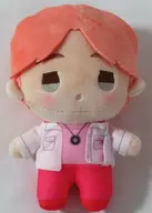 Jimin (BTS / BTS) POWA POWA Plush toy ~ Boy With Luv ~ "Jimin & V & Jung Kok" (EX) "TinyTAN"