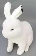 White Rabbits (fino) Ultra BIG Peluche "Fluffy ホッキョクウサギ"