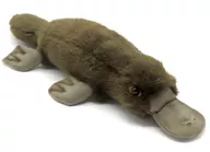 40 cm de ornitorrinco