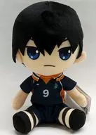 Kageyama Tobio Original Plush toy vol. 2 "Haikyu?"