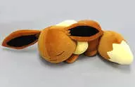 [Damaged Items] Suyasuya Eevee Plush toy Eevee Collection 2017 "Pocket Monsters" Pokemon Center limited