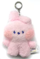 [Blanket shortage] COOKY standing doll mini Plush toy "BT21 minini"