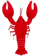 Giant American Zari-Crab, Animal Empalhado, Captura de Animais Exóticos.