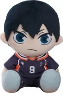 "Haikyu!" Plush toy, Kageyama Tobio