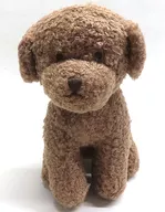 Toy Poodle Plush toy "Gelato Pique"