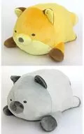 2-Type Set Nekorobi BIG Plush toy (Mujigitsune to Gingitune) "All-You-Know-It-Everything"