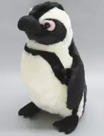 African penguin Plush toy (M)