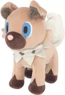 イワンコ ALL STAR COLLECTION Sサイズぬいぐるみ 「ポケットモンスター」
