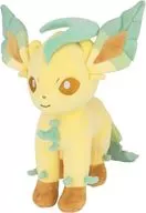 リーフィア ALL STAR COLLECTION Mサイズぬいぐるみ 「ポケットモンスター」