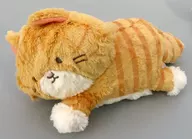 Gato (B/Brown White) Peluche (Cat) "Lo que sea"