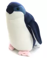 Fairy Penguin Empalhado "Happy Penguin Lot" 3, etc. AOAO SAPPORO limitado