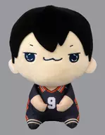 Kageyama Tobio Mochipiko BIG Plush toy 1 "Haikyu!"