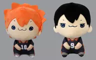 全2種セット もちぴこBIGぬいぐるみ1 「ハイキュー!!」