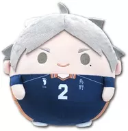 菅原孝支 ふわコロりんMsize3(ぬいぐるみ) 「ハイキュー!!」