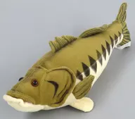 Large Mouth Bath (Micropterus) 17 inch Plush toy