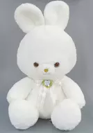 トゥインクル ラビット 真っ白なお友達 びっぐ ぬいぐるみ タイトー限定