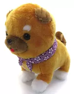 Mame-Saburo Mame-Shiba San-Kyodai Ocollective 5 jb Plush toy "Mame-Shiba San-Kyodai"