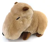 悠閑體驗超BIG毛絨玩偶