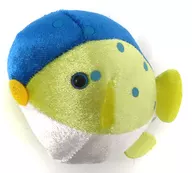 Boxfish Kirakira Plush toy - Cobalt Blue - "Marine Park"