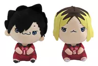 2-Type Set Mochipiko Plush toy 2 "Haikyu!"