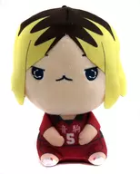 Kozume Kenma Mochipiko BIG Plush toy 2 "Haikyu!"