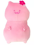 Neko-san Sakuraro Plush toy "With stationery"