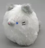 Siam Plush toy "Shiburu! Fluffy Neko-san"