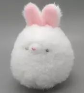 Dwarf White Plush toy "Jakuburu! Usapyon"