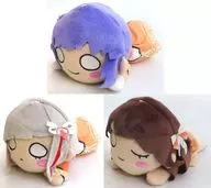 All 3 Types Set Nebobari Plush toy ~ Bloom the smile. Bloom the dream! ~ Vol. 2 (EX) "Love Live! Rennoku Jogakuin School idol Club"