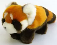 Lesser panda Plush toy (S)
