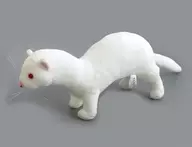 White Ferret Plush toy BIG "FANS"
