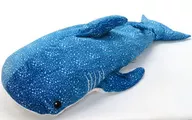Rhincodon typus BIG Peluche "Sea Creatures"