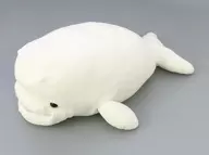 かぷっとシロイルカ ぬいぐるみ 「AQUASオリジナル」