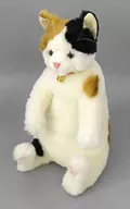 小春(Koharu) ぬいぐるみ