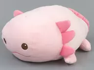 ウーパーさん もちっこマリン JBぬいぐるみ