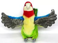 ナナクサインコ 50cm ハンドパペット