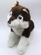 ダークブラウン ベーシック JBぬいぐるみ 「くったりオオカミ」