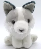 シルヴァ(プラチナギツネ)ごきげん STぬいぐるみ 「もふっとオオカミ」
