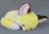 こんぺいとう くるんとおねむウルトラBIGぬいぐるみ 「ちょコンとキツネ」
