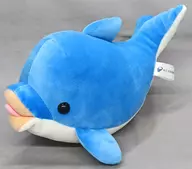 イルカ ぬいぐるみ 「新江ノ島水族館」