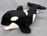 リアルシャチ メス ぬいぐるみ 「名古屋港水族館」