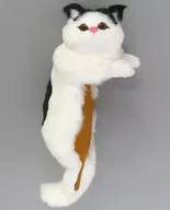 ハチワレ ふわふわCATS4 ぬいぐるみ