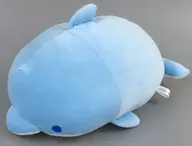 イルカ ぬいぐるみ