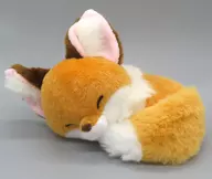 きなこ ちょコンとキツネくるんとおねむ ぬいぐるみ