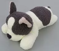 French Blue Plush toy "Gelato Pique"