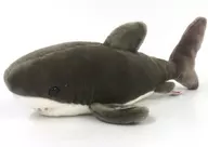 ニューメジロザメ ぬいぐるみ 「アクアブリーズ」
