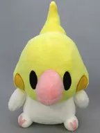 オカメインコ ぬいぐるみ 「はなのすみれオリジナル」