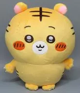 ナガノの虎 ぬいぐるみS 「ナガノの虎 ぬいぐるみくじ」 C賞
